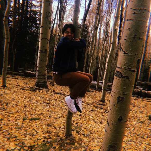 Meet your Posher, Zane - Picture 3 of 5